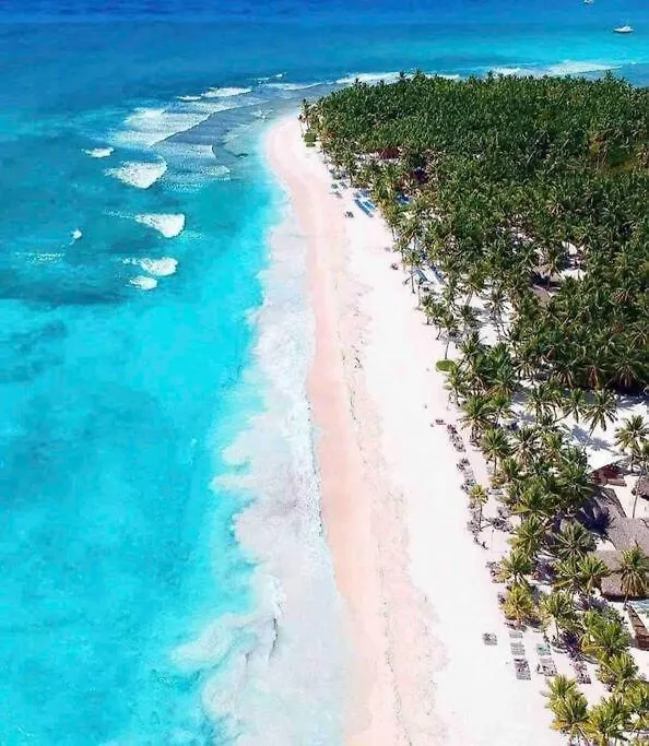 Starfish Punta Cana 아파트