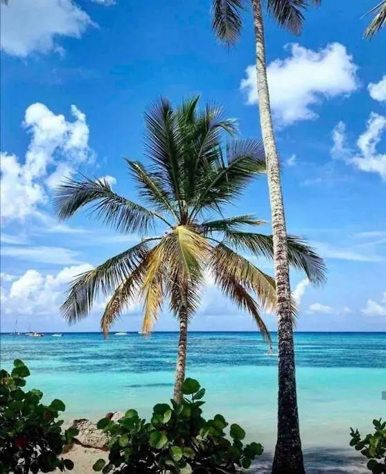 Starfish Punta Cana 아파트